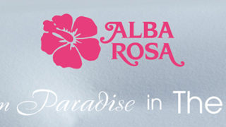 アルバローザとPLAZA のコラボレーション企画第１弾 2014FW 