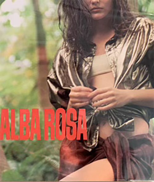 ピックスエードのスカート